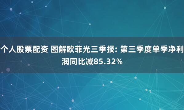 个人股票配资 图解欧菲光三季报: 第三季度单季净利润同比减85.32%